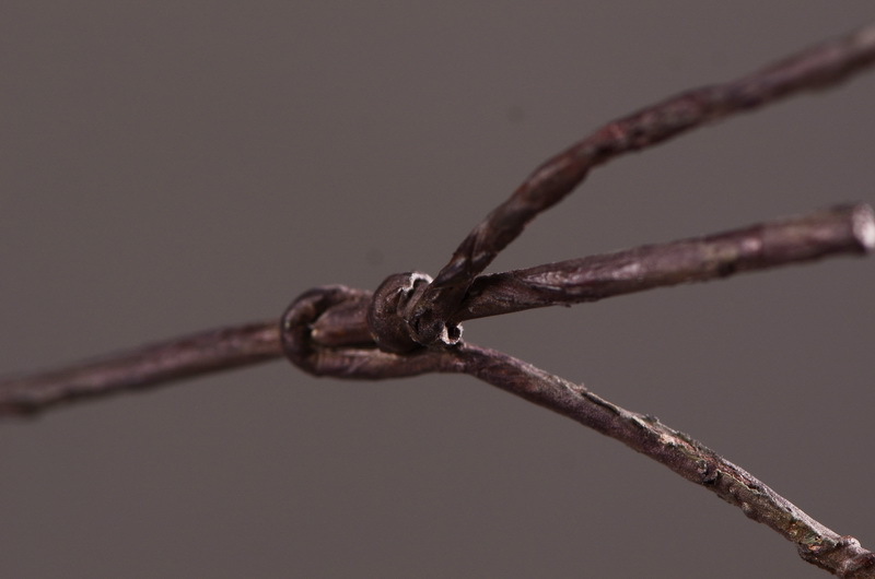 Flower Knowledge, simulating spring rain leaves, New Chinese-style Zen-inspired soft furnishings, flower leaf materials, simulating touch, autumn leaves, home decorations, floral art pic 23