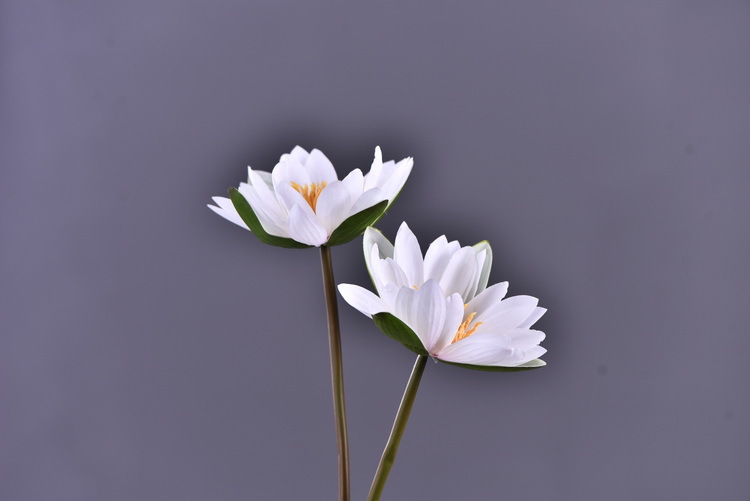 Wholesale manufacturer of artificial water lilies, direct sales of artificial flowers for wedding, home, hotel and homestay soft furnishings, artificial flowers, and photography props pic 16