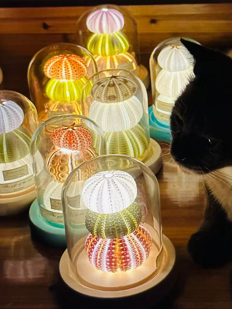 Mushroom, shell, sea urchin shell, retro atmosphere night light diy material package, birthday gift for children, decorative item pic 4