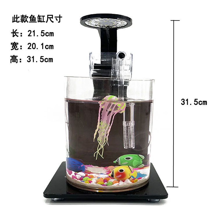 Ecological bottle micro-landscape, small office desktop, fish tank landscaping, fighting fish, glass tank, aquarium living room creativity pic 5