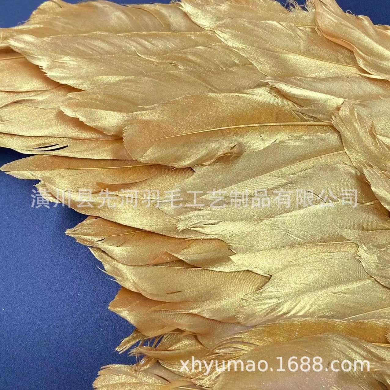 金色银色羽毛天使翅膀六一儿童节狂欢节万圣节圣诞节舞台表演走秀                              详情14