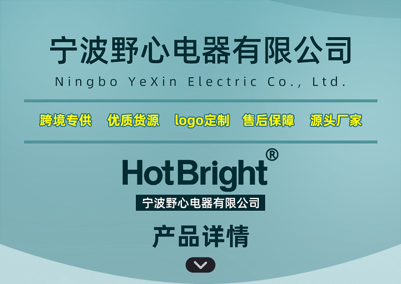 野心-手电筒模板D66-1-en_01