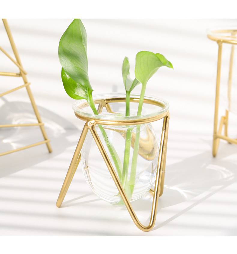 Nordic ins metal, ironwork, glass, hydroponic container, flower arrangement, creative home and office desktop flower arrangement pic 30