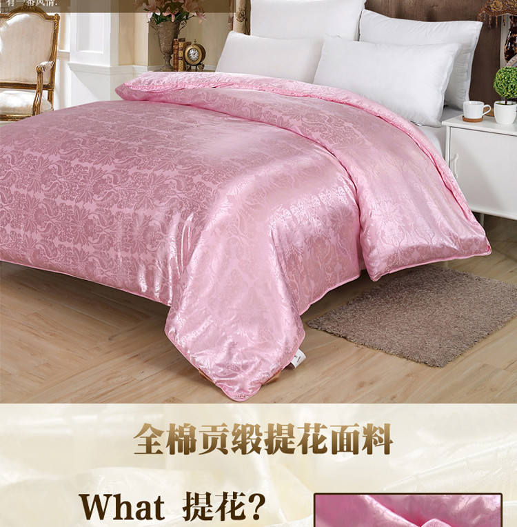 ywxuege Antarctic People Hotel Down Quilt 95 Goose Hanging thickened Warm Winter Quilt Core Single and Double Light Luxury Gift Quilt 20220706 pic 6