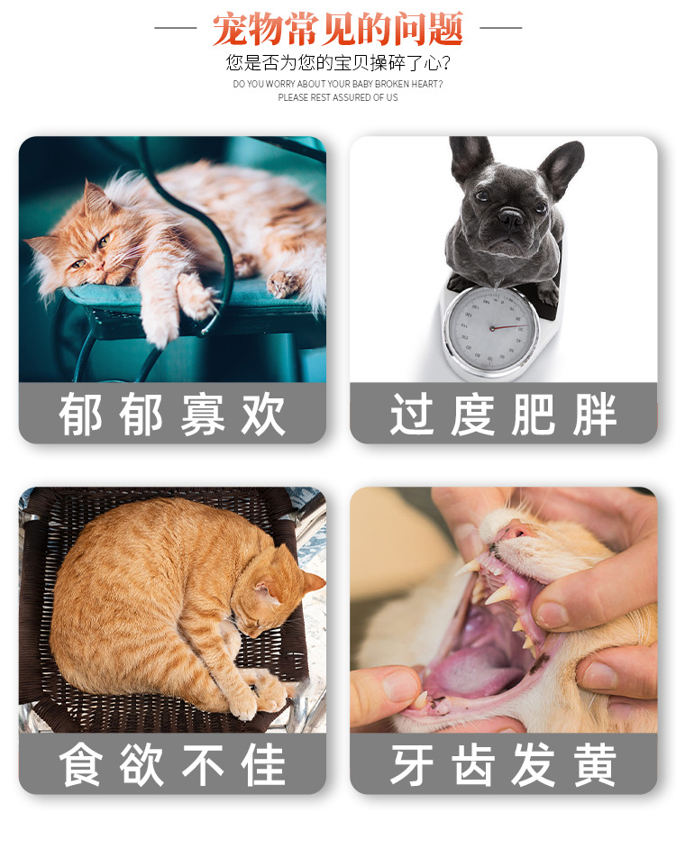 New dog vocal toys, cute poached egg pet plush toys, interactive gadgets, Teddy Bichon Frise distribution pic 4