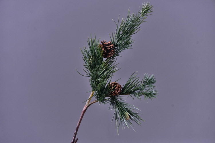 Lanjin source factory goods, artificial natural pinecones, pine branches, Christmas decorations, artificial pine needles, high-end artificial green plants wholesale, artificial leaves, artificial plants, artificial peach blossoms, large green plant landscaping, micro-landscape paintings pic 5
