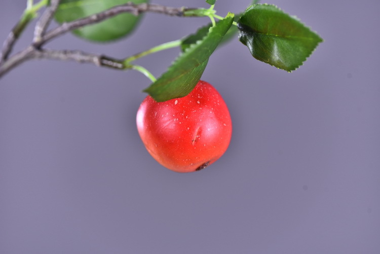 Wholesale of artificial apple branches, multi-leaf home decoration fruit branches, new Chinese-style New Year decoration berries from the manufacturer pic 20
