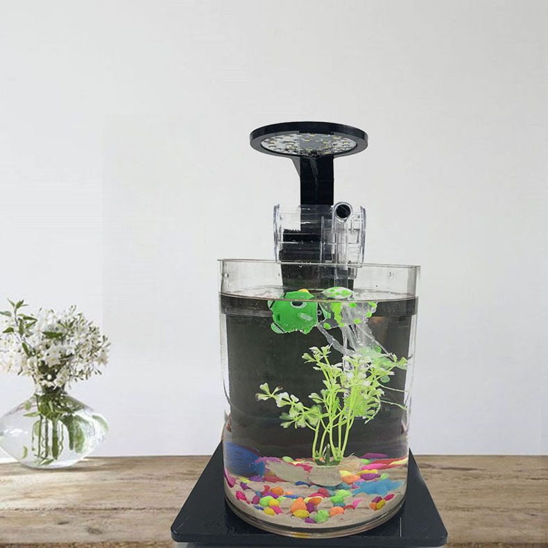 Ecological bottle micro-landscape, small office desktop, fish tank landscaping, fighting fish, glass tank, aquarium living room creativity pic 7