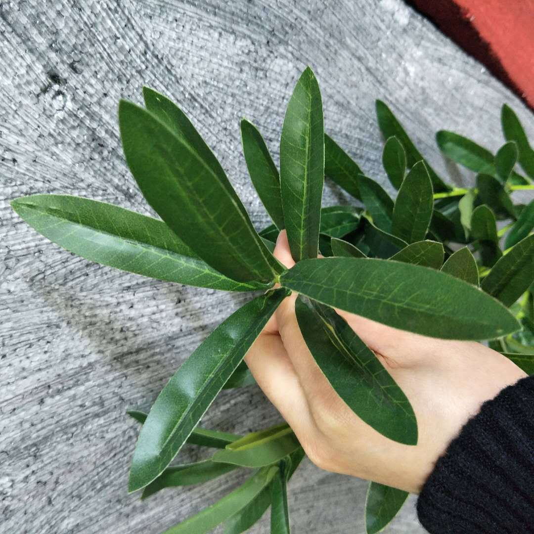 6-pronged olive branches, living room dining table, coffee table, vase, flower arrangement, wedding home flowers, wedding decoration, olive leaves pic 3