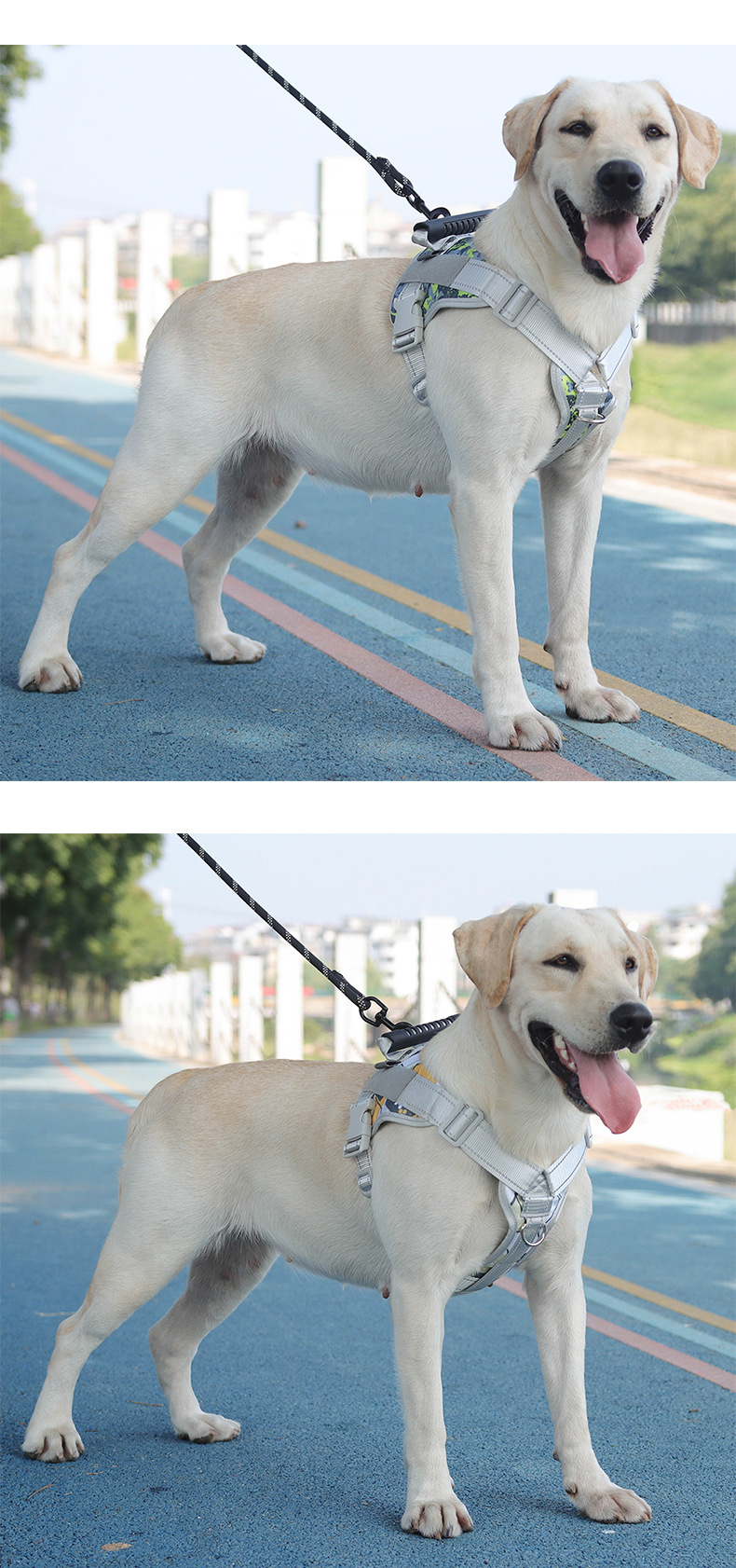 Pet chest and back strap explosion-proof camouflage print dog leash chest and back breathable and comfortable dog commuting pet chest and back pic 15