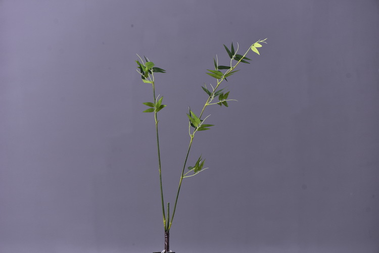 Factory direct sales of artificial bamboo leaves, new Chinese style Zen-like artificial leaves wholesale, 2-prong bamboo leaves, flower and leaf materials, green plants, Lanjin artificial plants pic 4