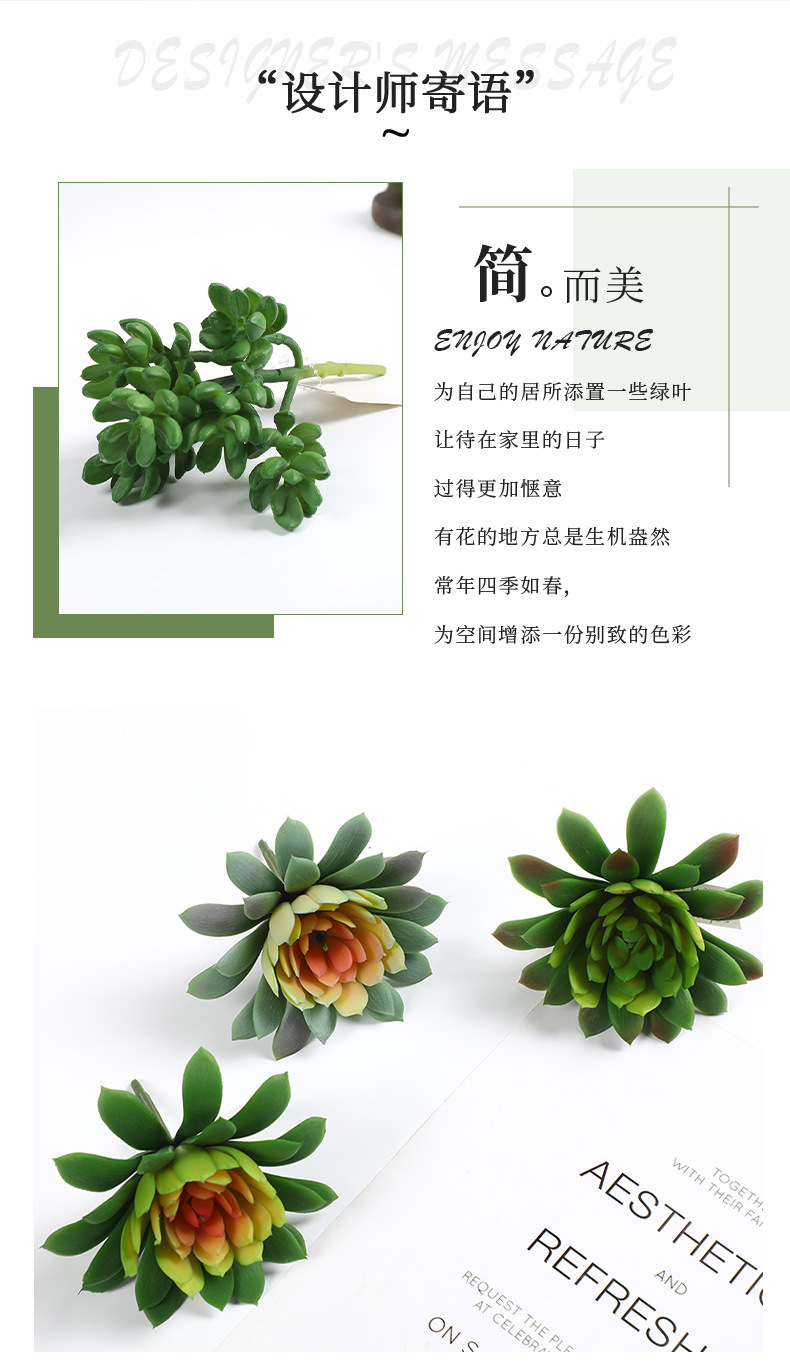 新款仿真塑料多肉 逼真手感插花多肉园艺装饰多肉绿植多头组合批发详情2