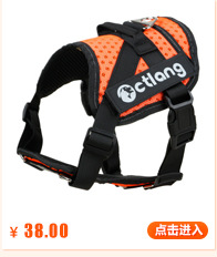 T has 50 types of pet supplies in stock, including fashionable dog ties, bow ties, bells, large bows, and starry bell collars pic 11