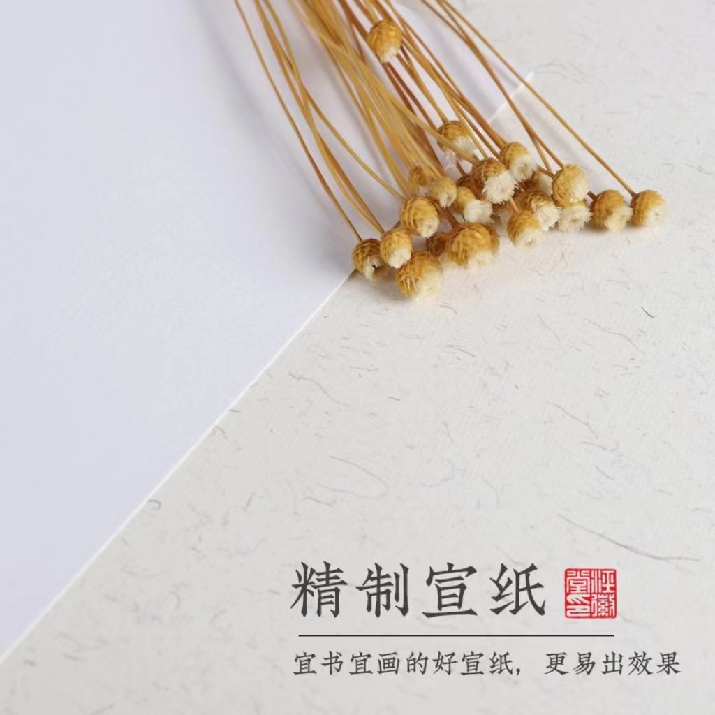 Sheng xuan tarjeta suave dibujo chino papel de arroz tarjeta de papel dibujo chino dibujo chino dibujo chino dibujo chino papel chino dibujo chino papel chino dibujo chino papel chino dibujo chino papel chino dibujo chino papel chino chino dibujo chino papel chino chino dibujo chino papel chino sheng xuan pic 4