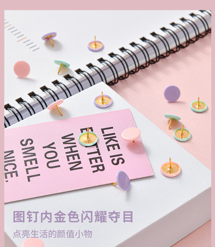 Macaron-colored large flat four-compartment box, golden stationery set, book holder, thumbtack, paperclip combination, small stationery set pic 29