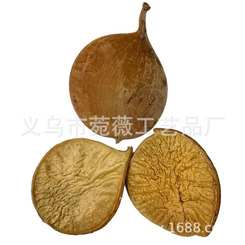 Natural plant dried fruits, small pumpkins, flower arrangements, handicrafts, soft furnishings, grass pic 6