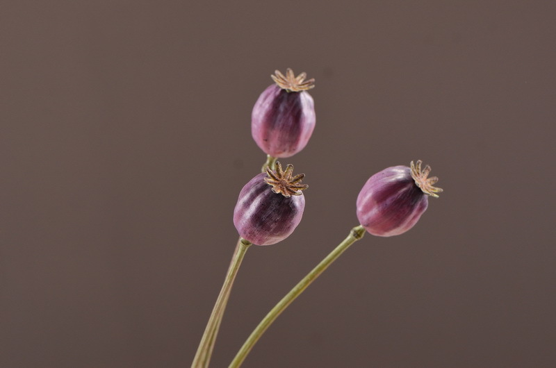 Wholesale of high-end artificial fruits, artificial flowers, photography props, teaching AIDS, dried artificial flowers and flower arrangement materials from the original factory pic 30