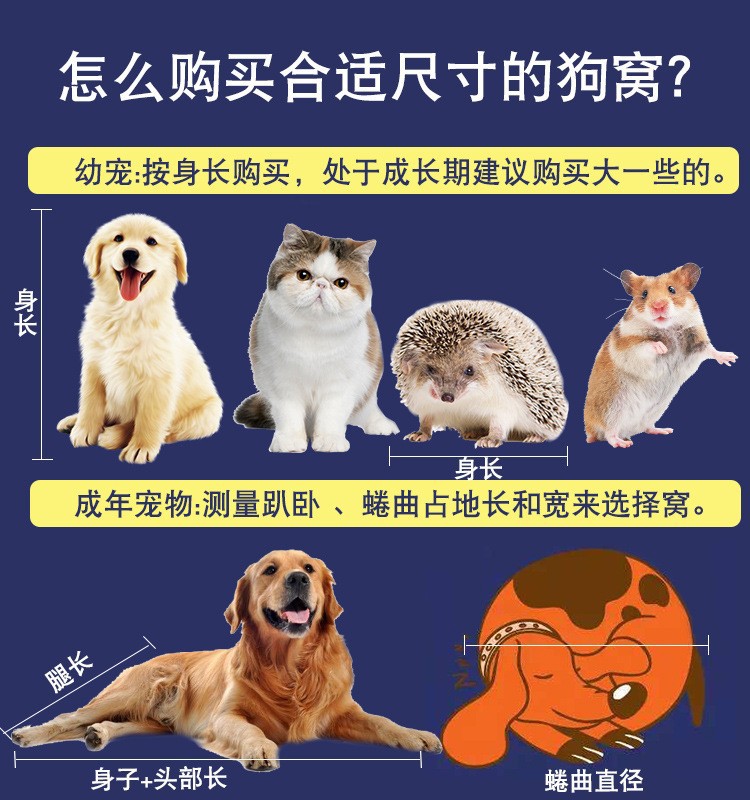 网红新款春季公主风裙子中小型犬猫比熊柯基防掉毛工厂可批发代发详情12