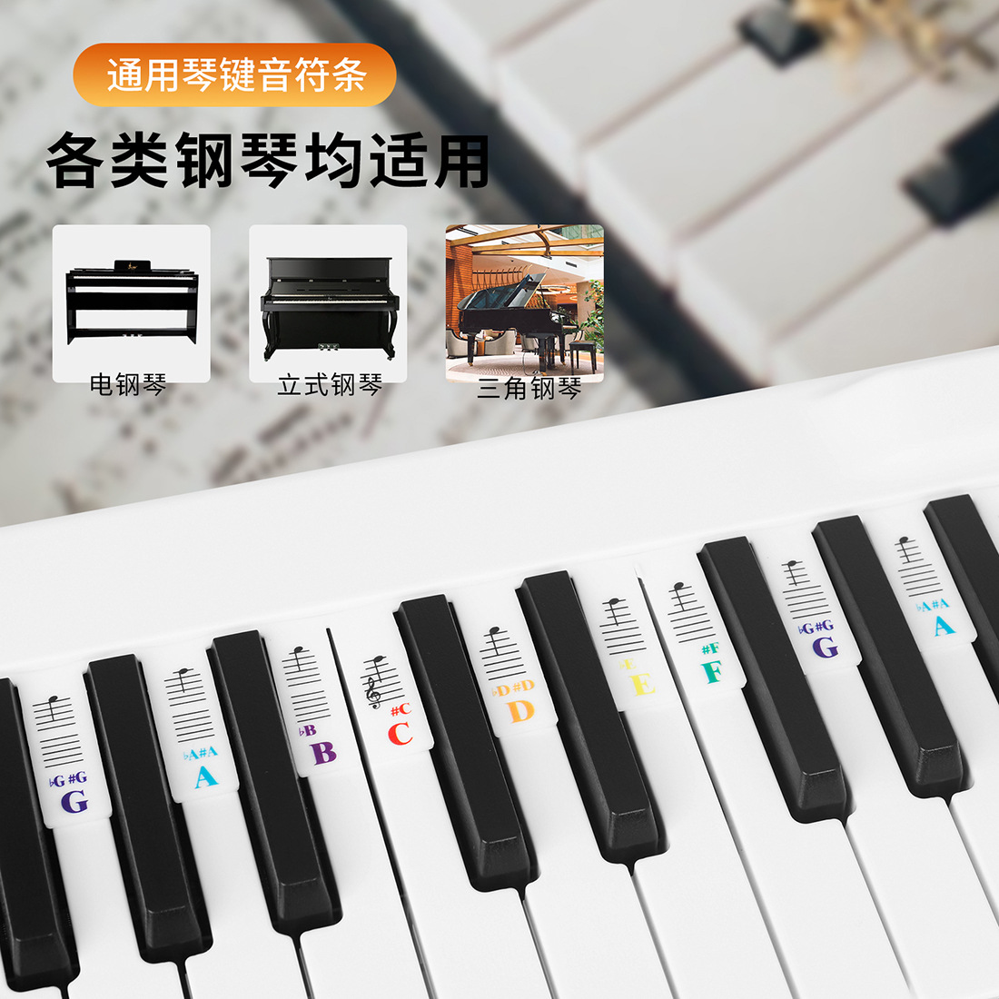 SLADE 88键61键钢琴贴硅胶可拆卸免粘电子琴键盘贴音符条乐谱指南详情6