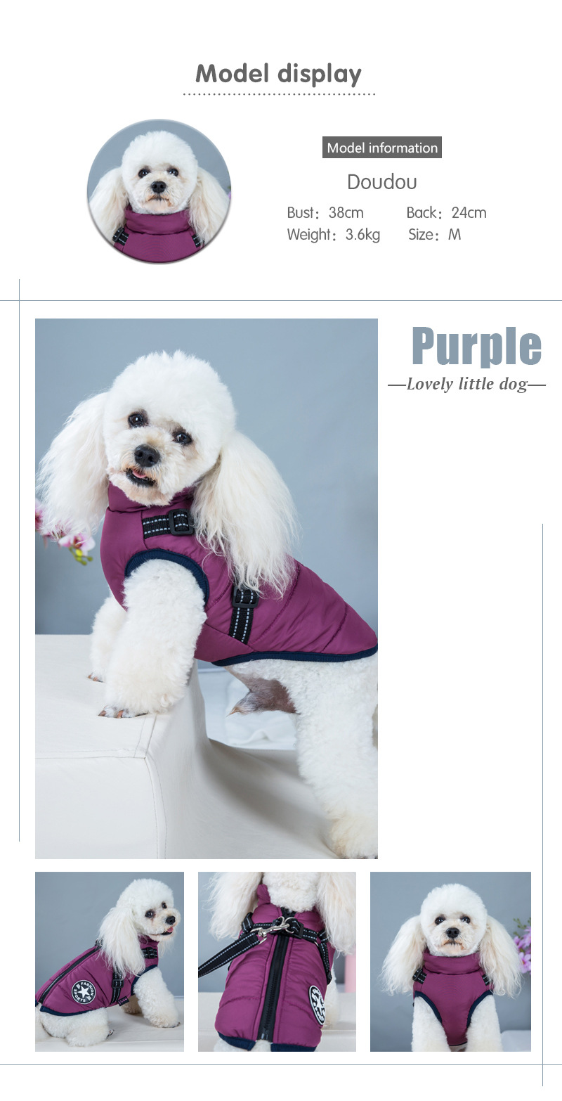 Nueva llegada amazon cross border dog clothing pecho espalda una pieza chaleco de algodón pet cotton clothing winter clothing two feet cotton clothing pic 12
