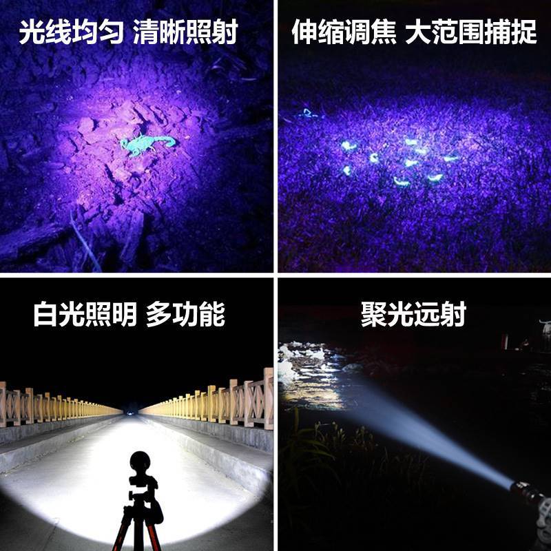 O1CN01KMTE5D20OJPCdQpUY_!!2211