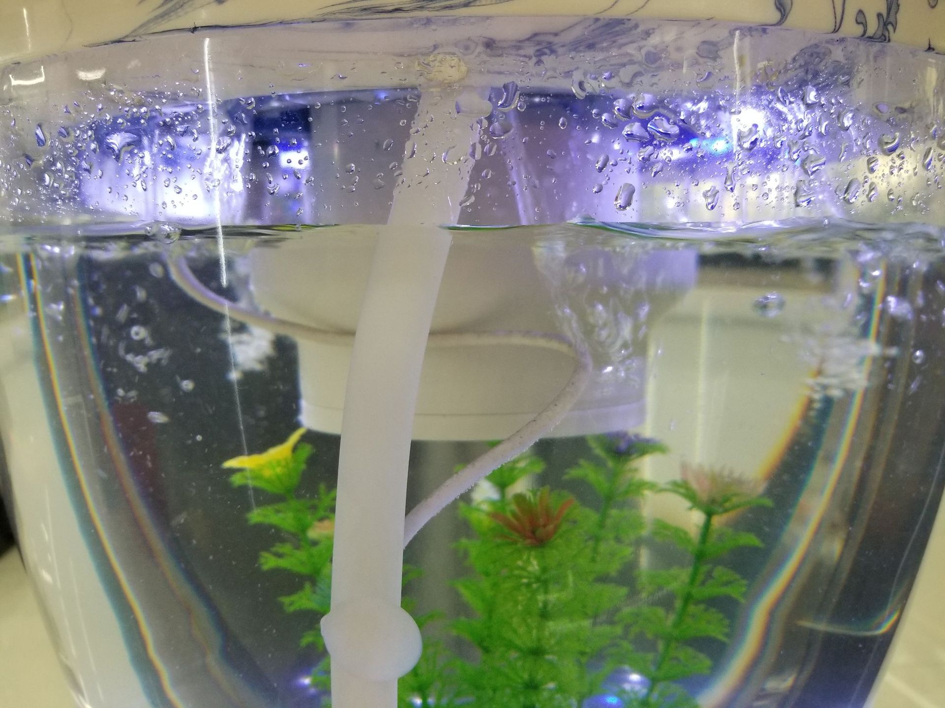 Supply fountain fish tanks, ultra-clear glass fish tanks, large and medium-sized aquarium fish tanks pic 14