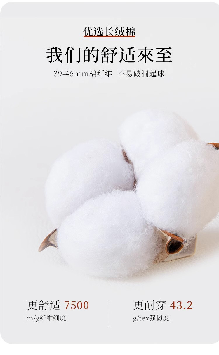 袜子地摊一件代发船袜男士春夏薄款冰丝隐形袜硅胶防滑纯色棉底百搭夏季浅口短袜子一件代发详情4