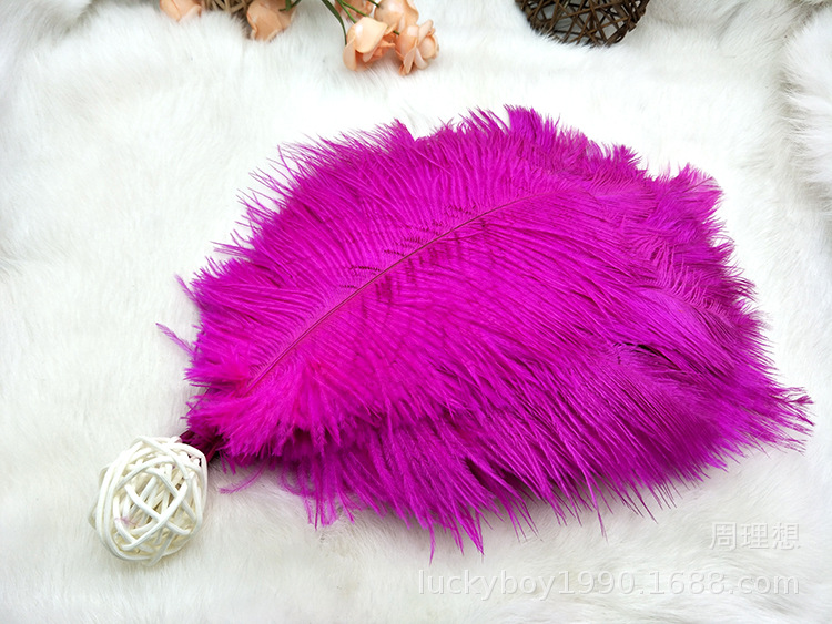 Colorful ostrich feathers 15-20cm, mask feathers, DIY accessories, wedding decoration props, ear-picking accessories, colorful feathers pic 43