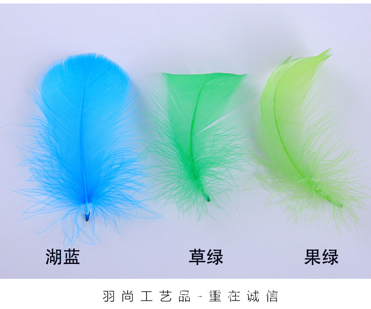 厂家直销优质天鹅毛 DIY彩色小飘羽毛 舞台服饰装饰辅料羽毛批发详情13