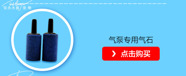 BOYU Boyu S oxygen pump, small fish tank booster oxygen pump, small single and double hole non-oxygen-deficient air pump pic 17