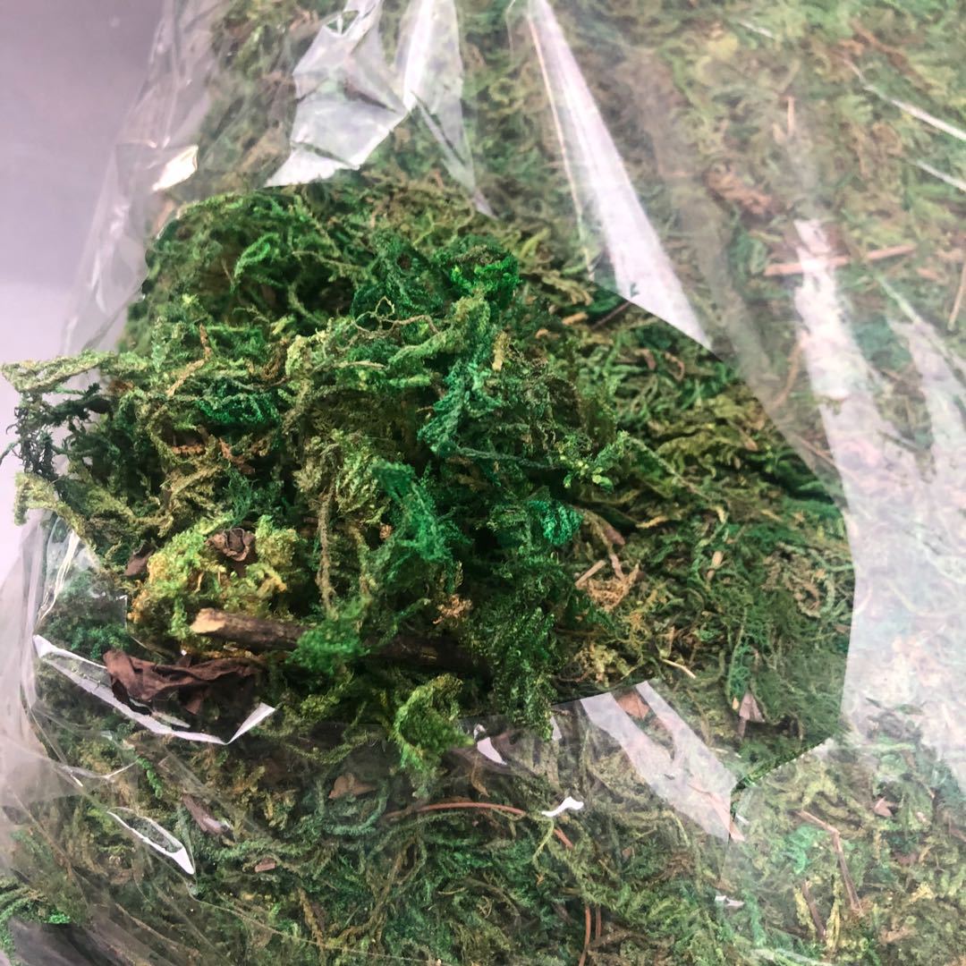 Artificial flowers, artificial lawns, artificial trees, artificial flowers, artificial lawns, artificial tree trunks, water moss, fresh moss, artificial green moss, bonsai, decorative landscaping, green moss, moss grass, artificial flowers, artificial lawns, artificial trees pic 6