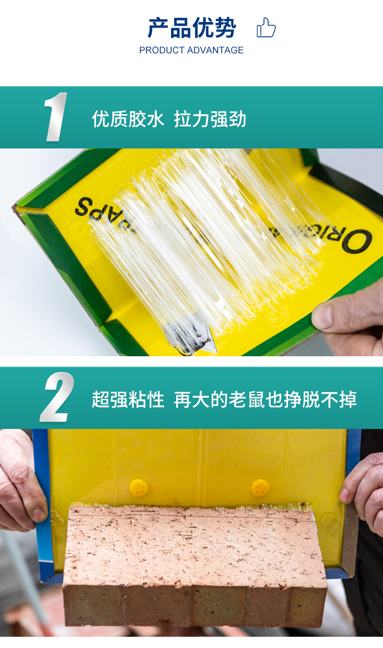 粘鼠板详情4