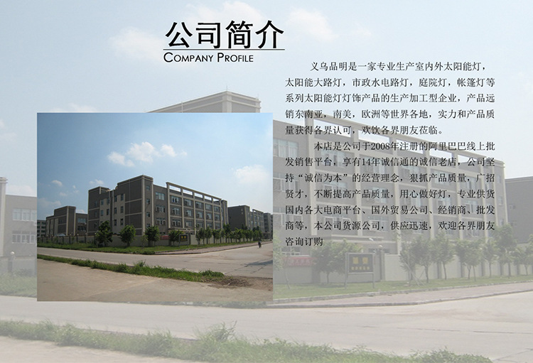 网红室内庭院装饰灯婚庆布置户外防水灯LED球泡灯串LED太阳能灯串详情1