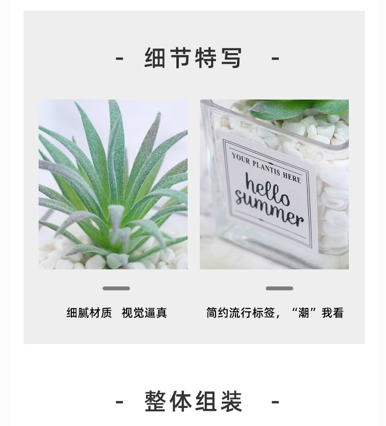 北欧绿植物仙人掌多肉假花装饰摆件客厅摆设办公室桌面小盆栽详情11
