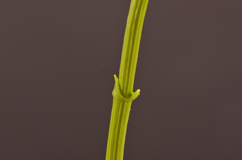 Wholesale of artificial lace and artificial green plants from the original factory, flower arrangement materials, and artificial plants for home, hotel, wedding and decoration pic 34