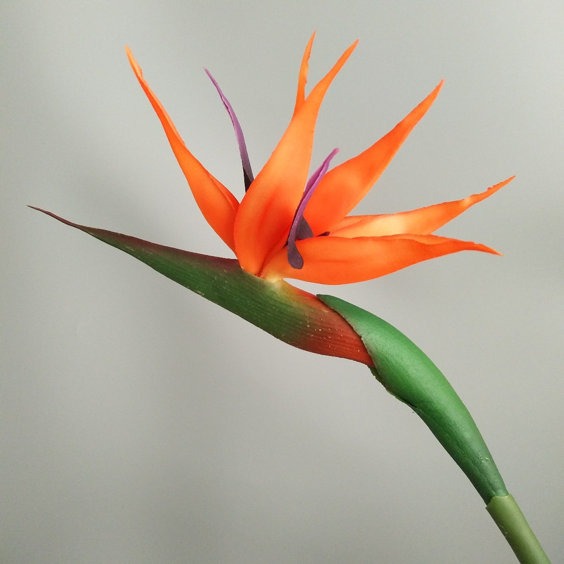 Soft rubber paradise Bird Crane Orchid New Chinese-style home model room decoration design, overseas wedding photography artificial flower pic 30