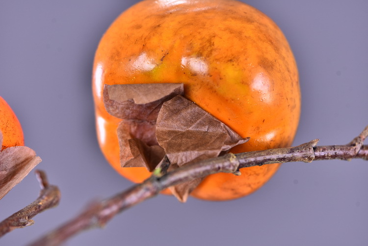 Wholesale of artificial persimmons, home living room model room soft decoration ornaments, money fruit, high-end artificial berries, decorative artificial flowers pic 8