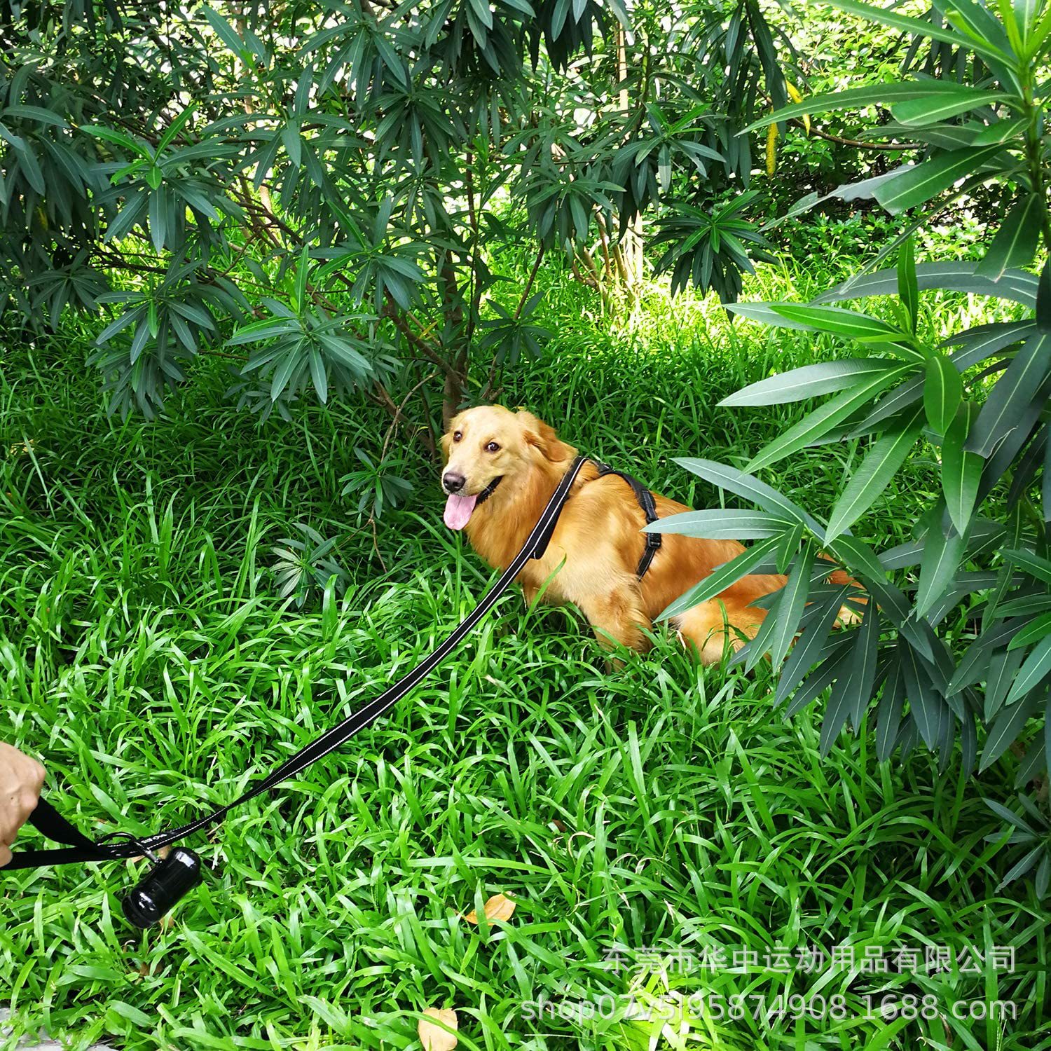 宠物狗狗牵引绳狗链子双牵引绳遛狗绳用品神器双层双牵引绳详情7