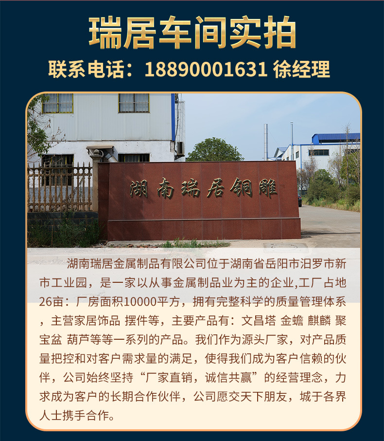 纯铜三宝佛像释迦牟尼阿弥陀佛药师佛摆件工艺品佛堂供奉掌柜推荐详情24