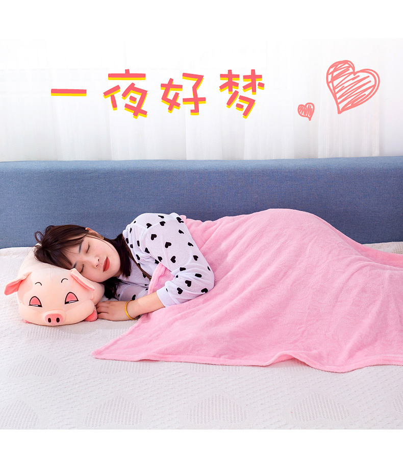 New cartoon animal throw pillow, two-in-one pig doll, air-conditioned blanket, birthday gift for the event, one-piece delivery pic 17