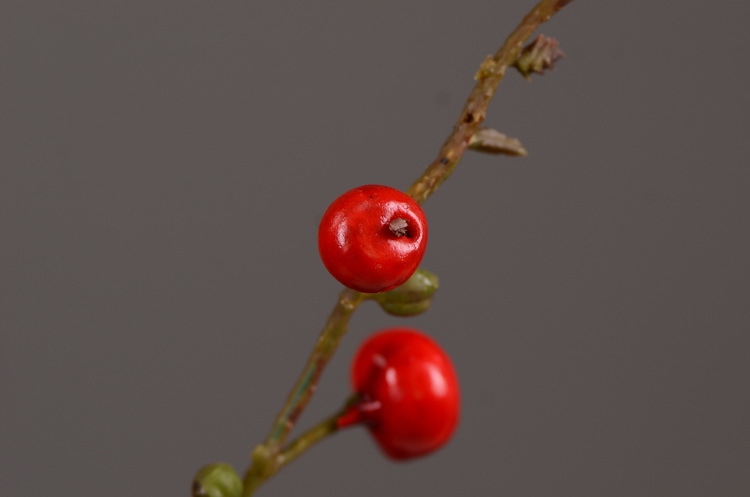 Artificial rosehip, artificial plant fruit, berry, American decorative floral arrangement materials, photography props pic 13