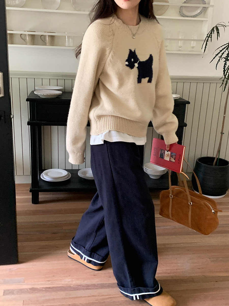 3th Morning North Island Park Korean Style Youthful Dog Embroidered Round Neck Pullover Sweater ZY2381 pic 70