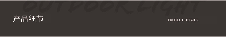 太阳能步道灯网红庭院地面免开孔户外景观过道灯草坪灯详情5