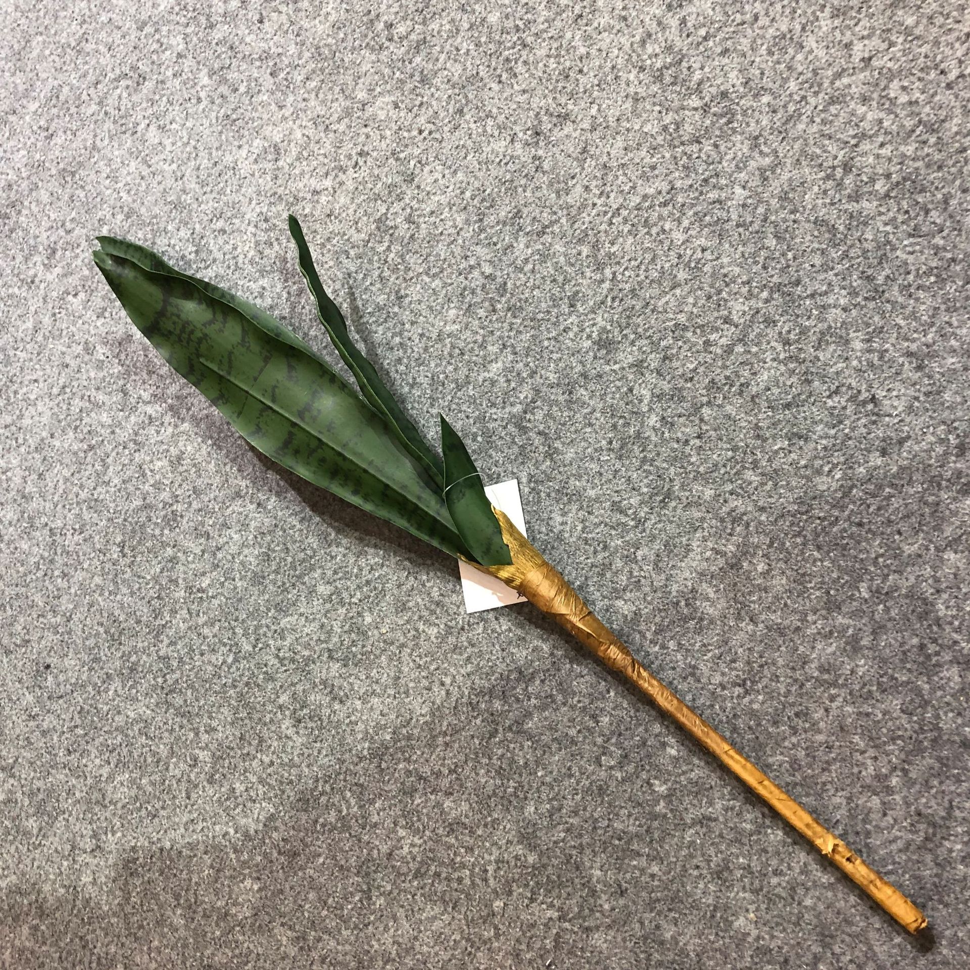 Simulated tiger skin lily, desert plant, simulated agave, single tiger skin lily, yellow-edged tiger skin lily, Phalaenopsis leaves pic 8