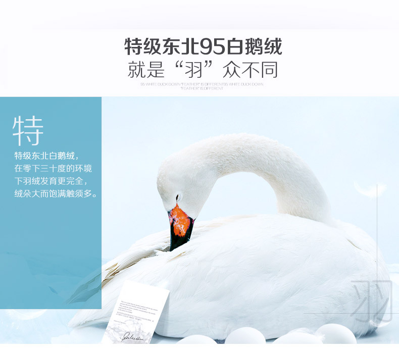 Seven-star hotel supplies: White goose down quilt, high-end down quilt core pic 11