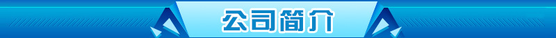 公司简介