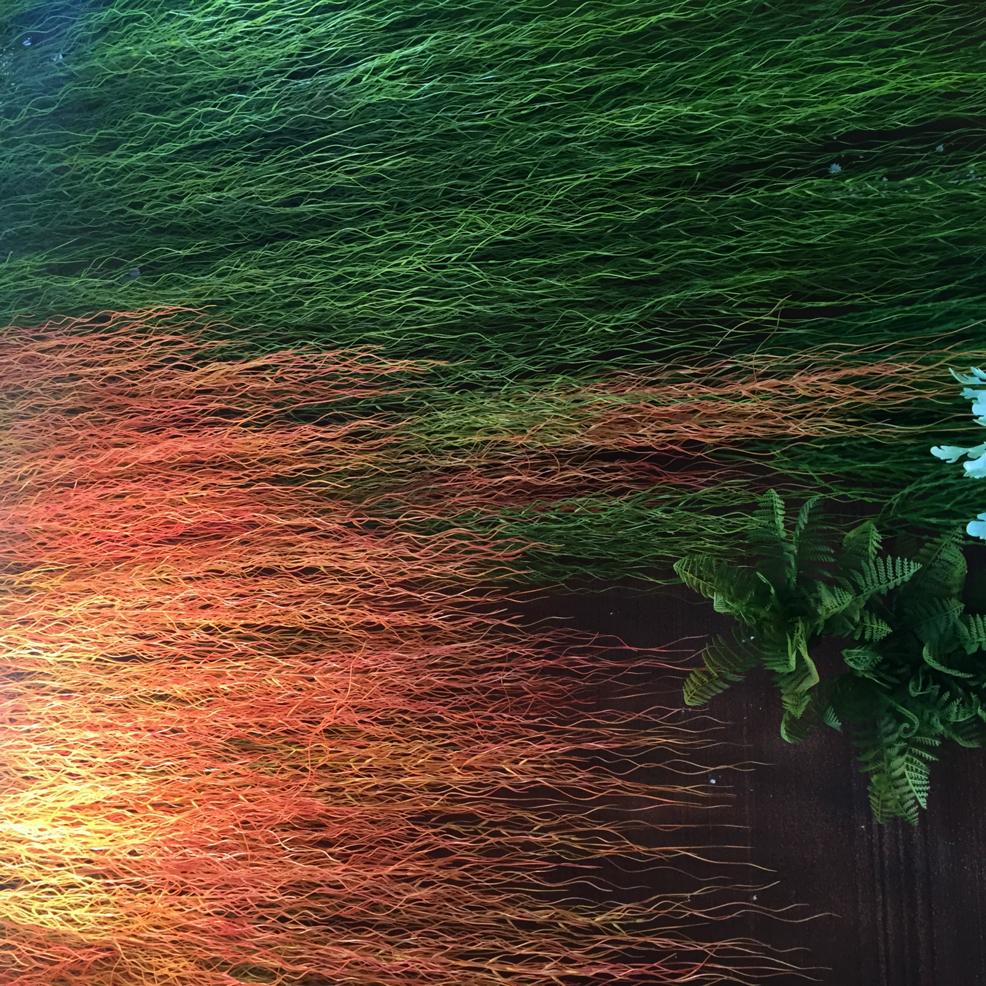 Artificial flowers, artificial lawns, artificial trees, artificial flowers, artificial lawns, artificial trees, plant wall accessories, artificial prayer beads, artificial dragon whiskers, plant wall decoration, real photos of artificial grass, willow leaves across the river, artificial flowers, artificial lawns, artificial trees pic 23