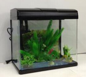 Supply Risheng Aquarium RS300A, Risheng series products, Baojie Aquarium Equipment wholesale pic 12