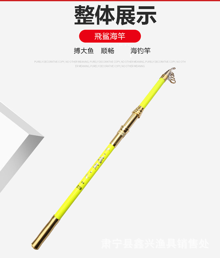 整体展示