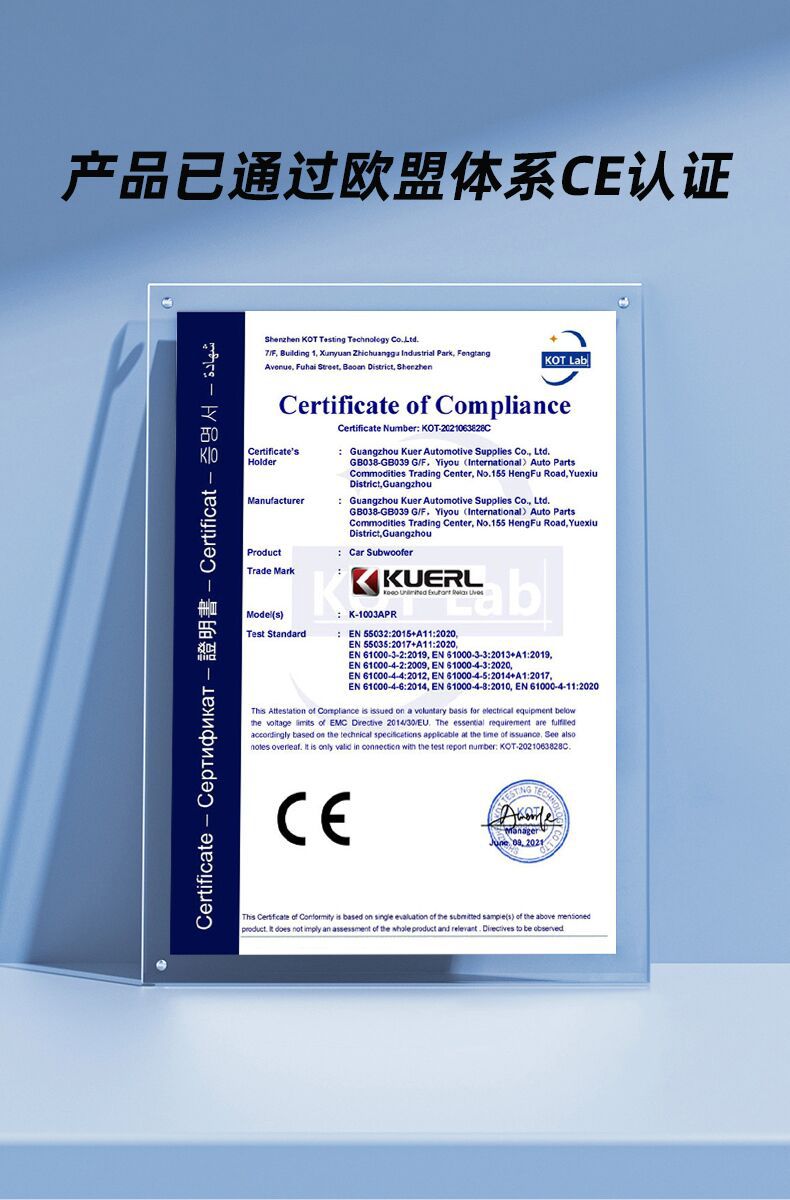 厂家批发车载音响改装蜘蛛带灯款10寸大功率有源汽车超薄低音炮详情16